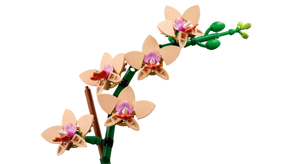 LEGO Botanicals 10343 Mini Orchid 5 1024x576