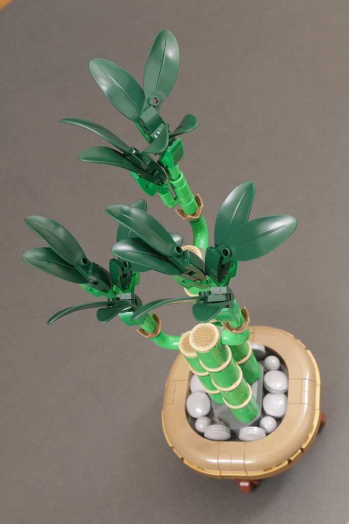 LEGO Botanicals 10343 Mini Orchid and 10344 Lucky Bamboo review 4 683x1024