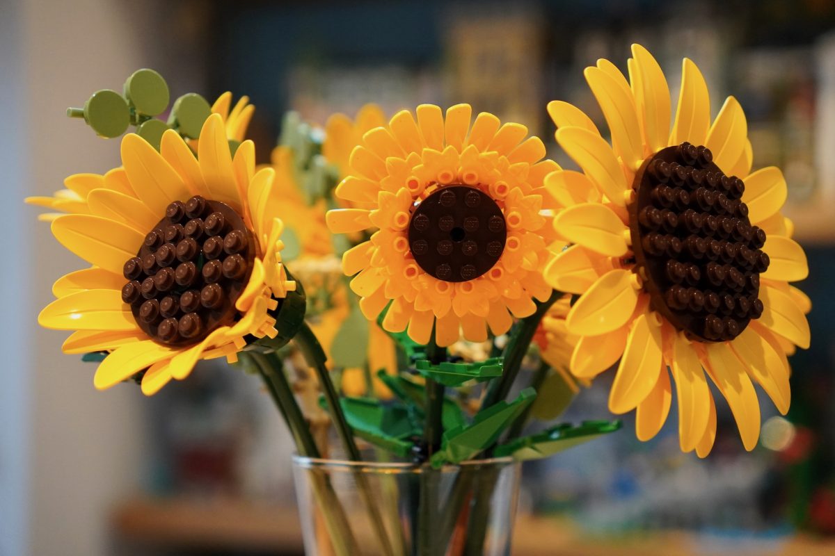 LEGO Botanicals 11502 Sunflower Bouquet 40524 Sunflowers review 8 1200x800