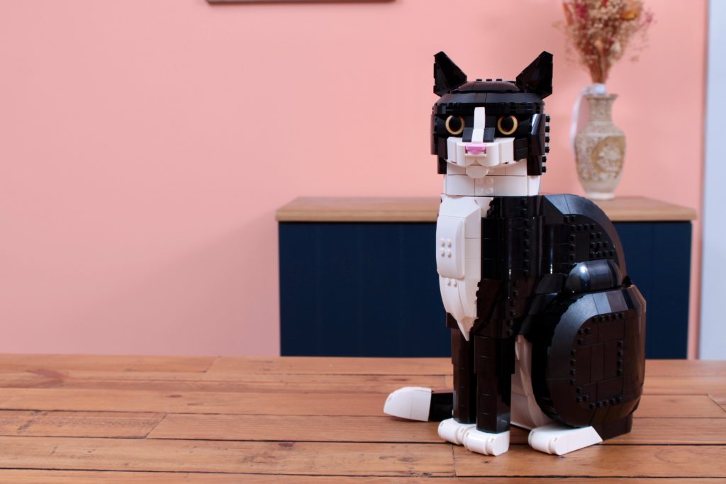 LEGO Ideas 21349 Tuxedo Cat review 4 1024x683