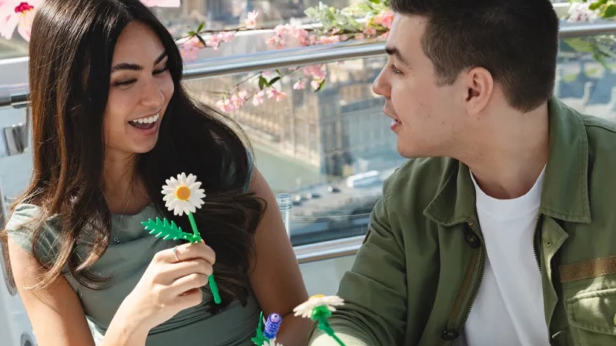 Build LEGO Botanicals Daisies on the London Eye