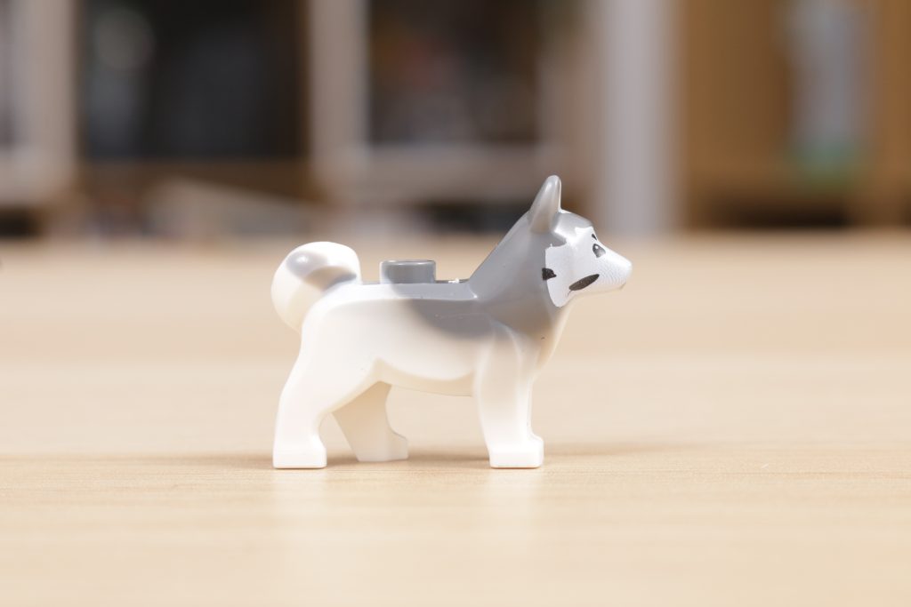 LEGO Husky dog misprint 7 1024x683
