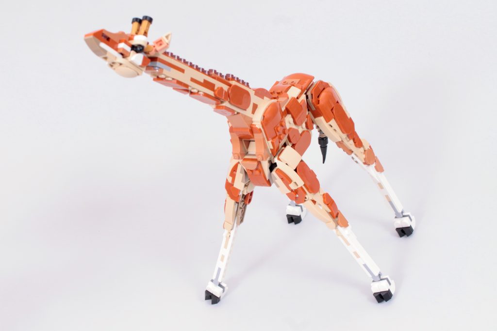 LEGO Creator 3 in 1 31150 Wild Safari Animals review 5 1024x683