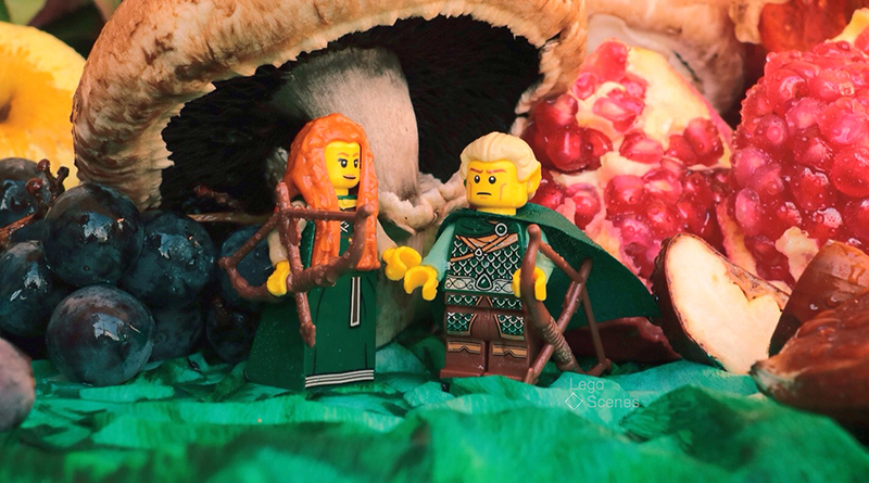 Brick Pic of the Day: Autumn world