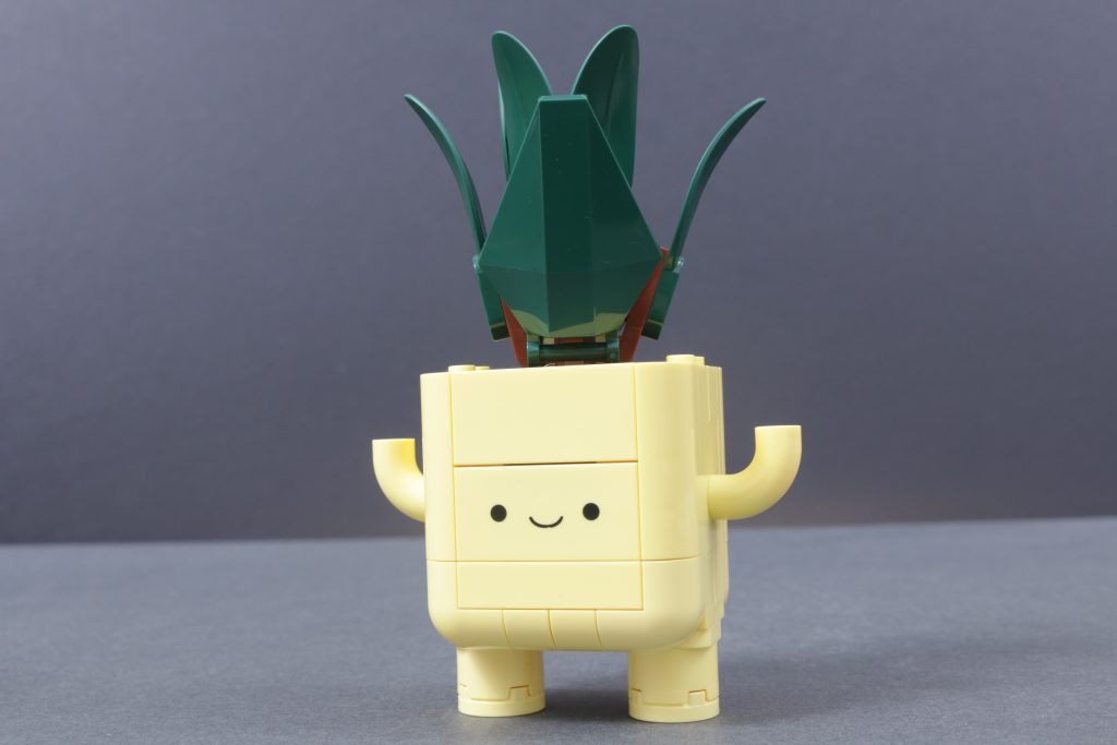 LEGO Botanicals 10349 Happy Plants review 11 1024x683