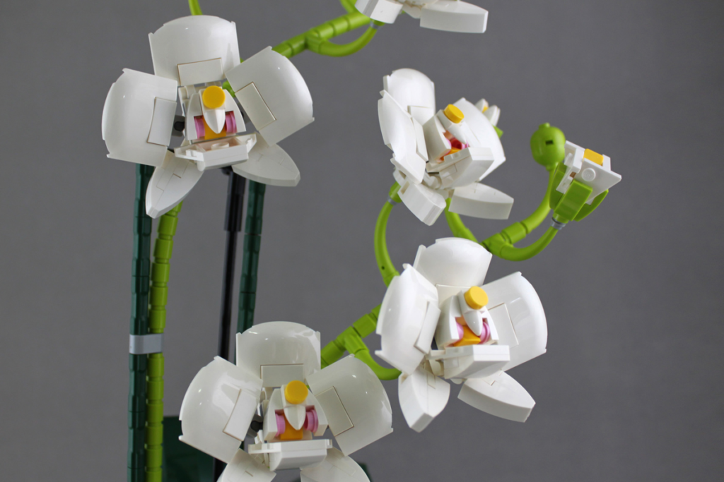 LEGO Ideas Orchid 4 1024x683