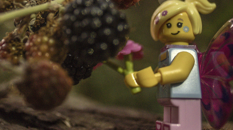 Brick Pic of the Day: Fluttering around