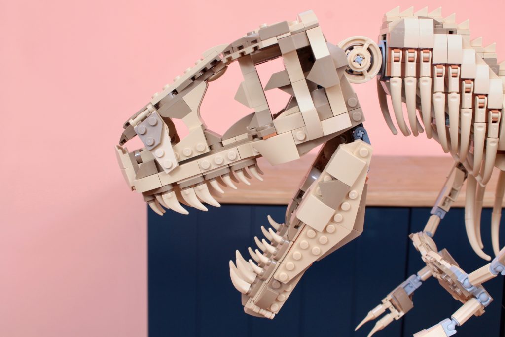 LEGO Jurassic Park 76968 Dinosaur Fossils Tyrannosaurus rex review 14 1024x683