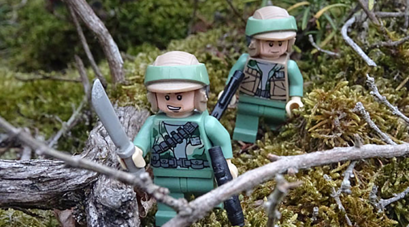 Brick Pic of the Day: Endor forest