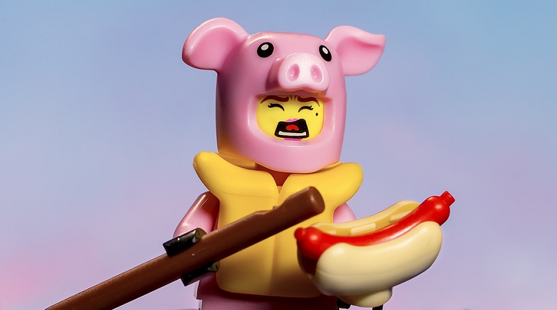 Brick Pig of the Day: Alone at sea