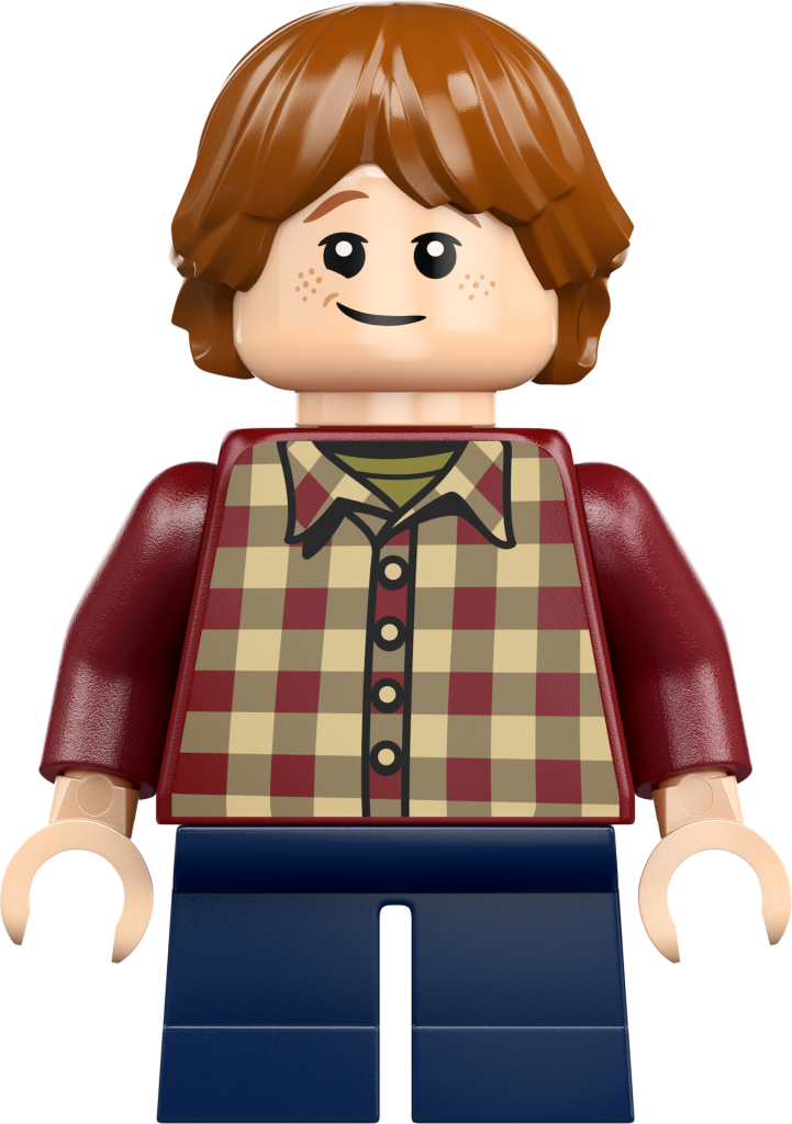 LEGO Harry Potter 76437 The Burrow Collectors Edition 13 721x1024