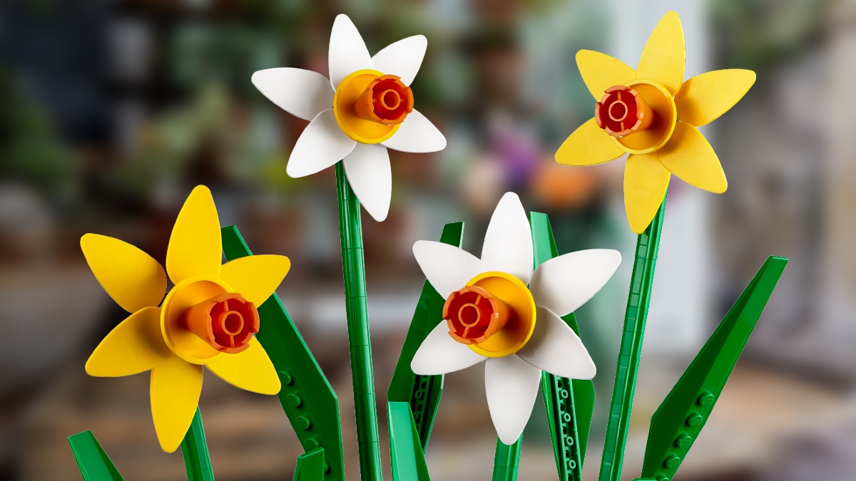 Three new LEGO exclusives revealed – Botanical Collection, Valentine’s Day and piñata