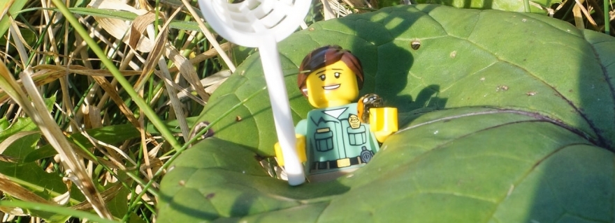 Brick Pic of the Day: 10 September 16