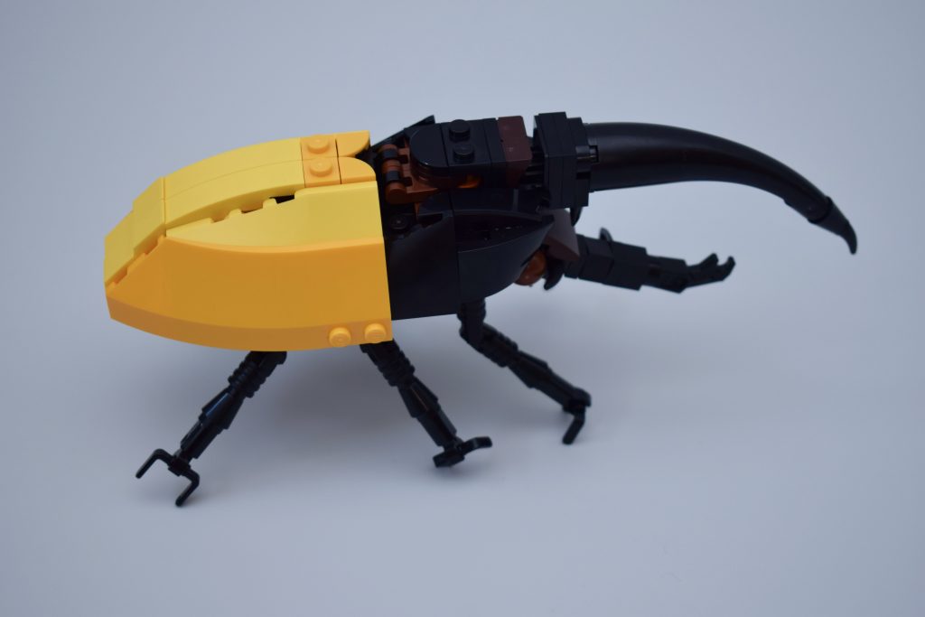 LEGO Ideas 21342 The Insects Collection Review 34 1024x683