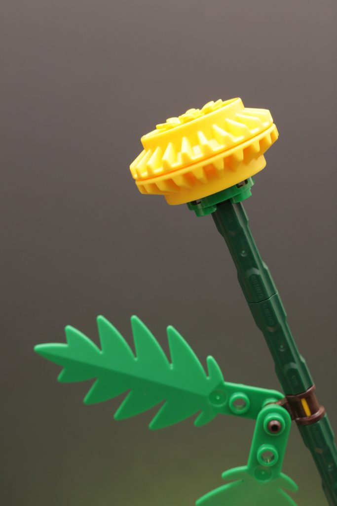 LEGO Botanicals 30701 Field Flowers review 3 683x1024