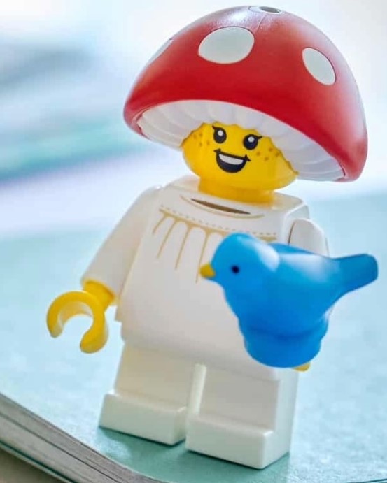 lego bam spring 2026 mushroom
