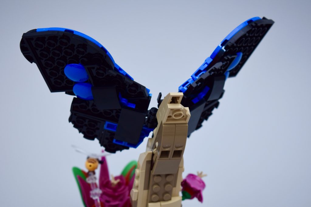 LEGO Ideas 21342 The Insects Collection Review 63 1024x683
