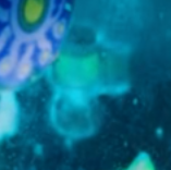 lego flagon dnd teaser