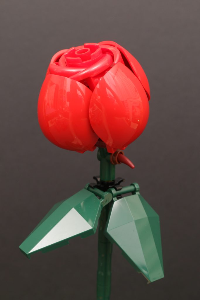 LEGO Botanical Collection 10328 Bouquet of Roses review 21 683x1024
