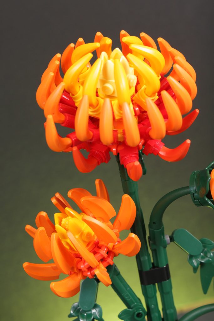 LEGO Botanical Collection 10368 Chrysanthemum and 10369 Plum Blossom review 8 683x1024