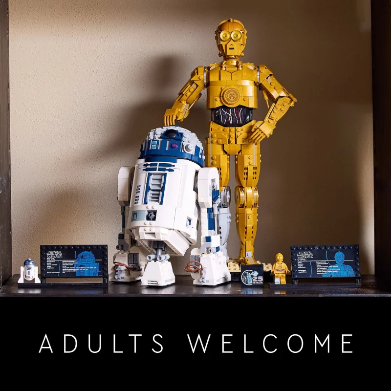 LEGO Star Wars 75398 C 3PO 75379 R2 D2