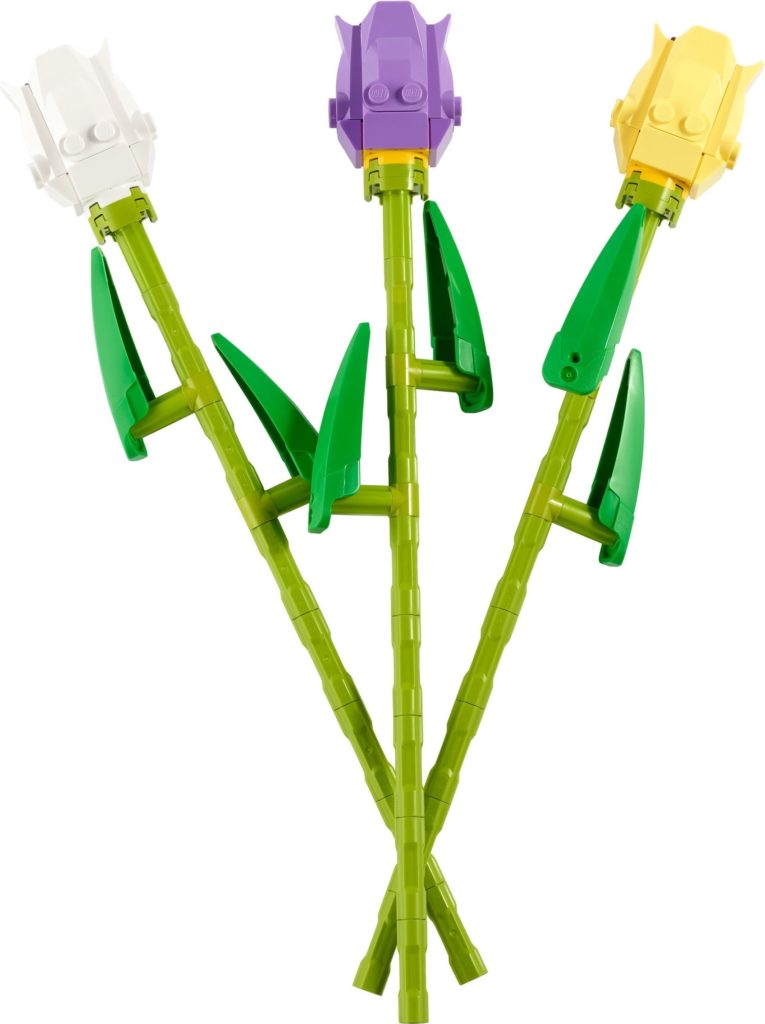 40461 Tulips 1 1