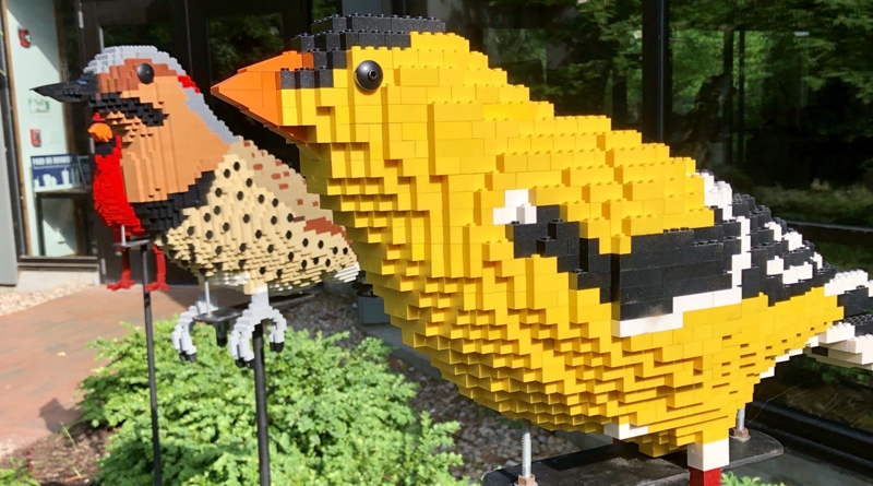 LEGO Bugs, Birds & Bricks exhibit at Heritage Museums & Gardens