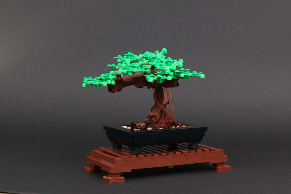 LEGO Botanical Collection 10281 Bonsai Tree review 48