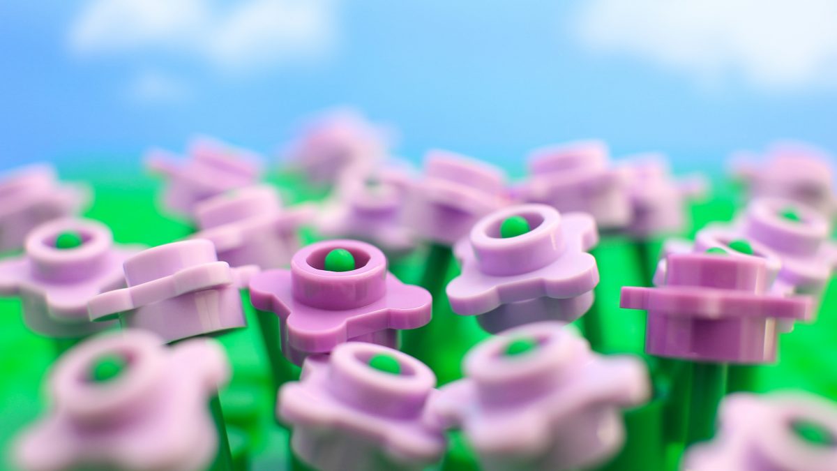Brick Pic of the Day: Spring time